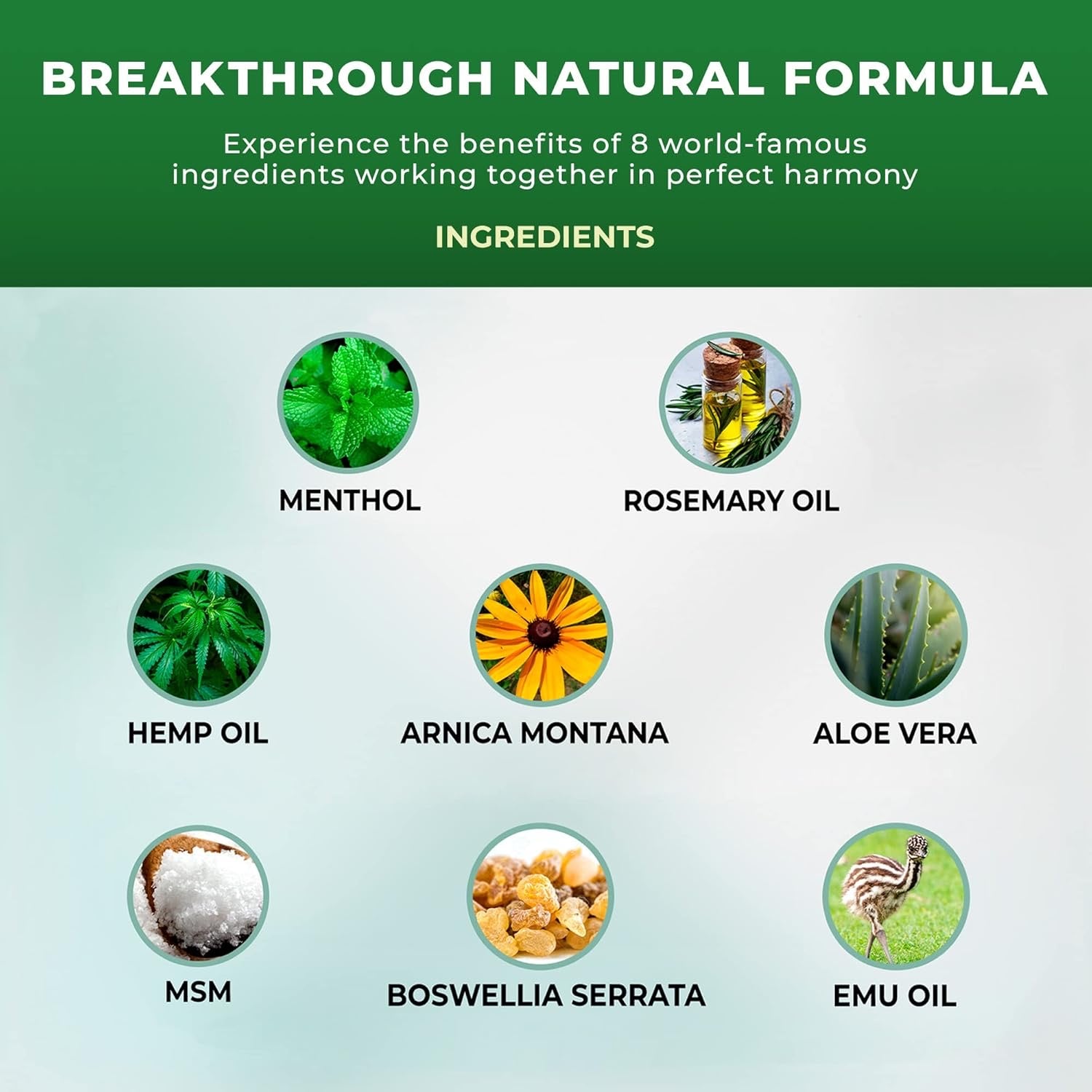 Omega-Infused Nerve Relief Cream